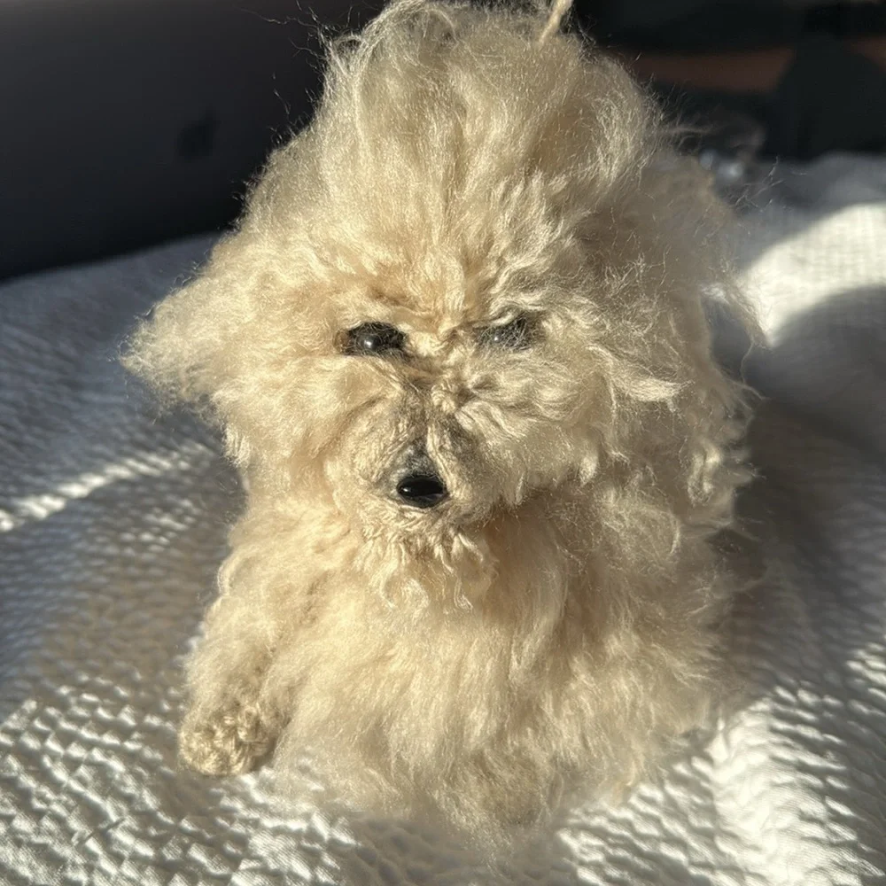 Handmade Fluffy Cream Plush Dog Toy